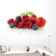 Various Berries Wall Decal