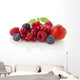 Various Berries Wall Decal