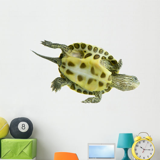 Tortue Ocadia Sinensis Wall Decal