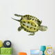Tortue Ocadia Sinensis Wall Decal