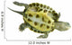 Tortue Ocadia Sinensis Wall Decal