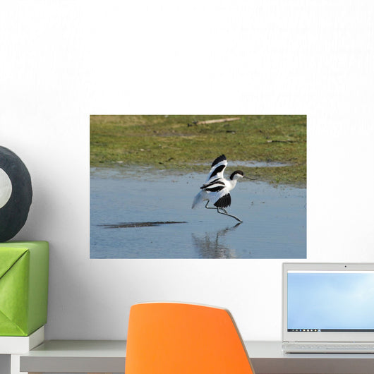 American Avocet Landing Wall Decal