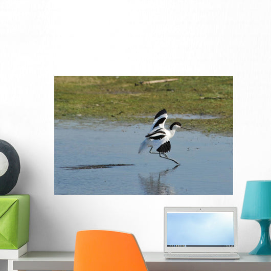 American Avocet Landing Wall Decal