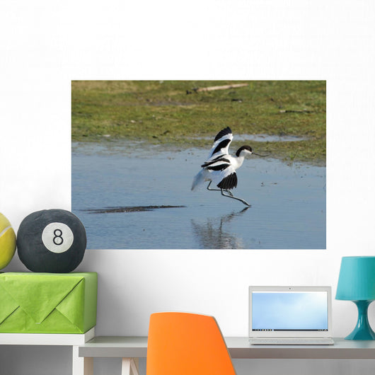 American Avocet Landing Wall Decal