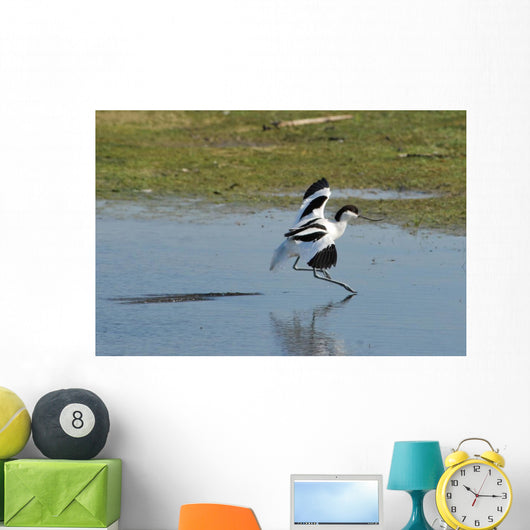 American Avocet Landing Wall Decal