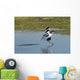 American Avocet Landing Wall Decal