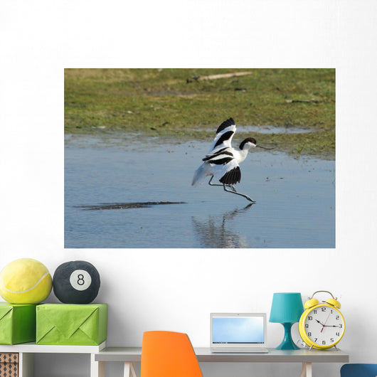 American Avocet Landing Wall Decal