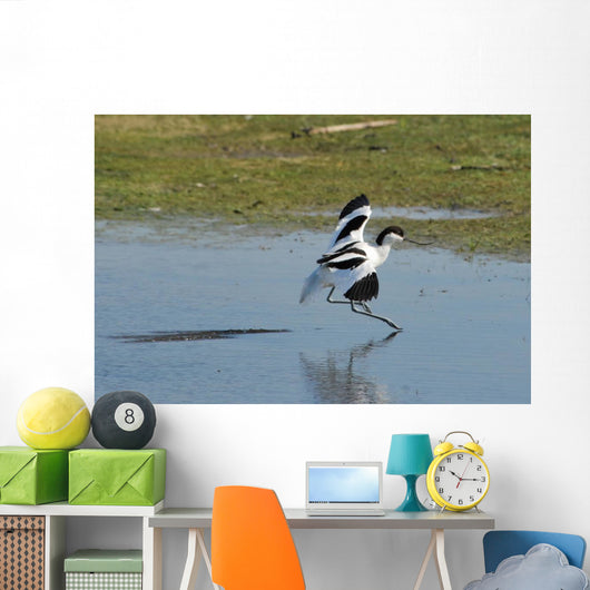 American Avocet Landing Wall Decal