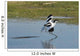 American Avocet Landing Wall Decal