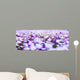 Daisy Field Wall Decal