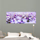 Daisy Field Wall Decal