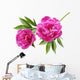 Peony Wall Decal