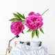 Peony Wall Decal