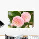 Otometsubaki Wall Decal