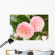 Otometsubaki Wall Decal