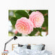 Otometsubaki Wall Decal