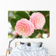 Otometsubaki Wall Decal