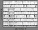 Bookshelf and Ladder Wall Decal