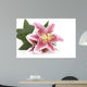 Pink Lily Wall Decal