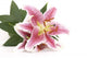 Pink Lily Wall Decal