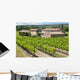 Typically French Vineyard Provence Wall Decal