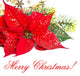 Red Poinsettia Christmas Flower Wall Decal