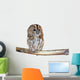 Perched Owl Wall Decal