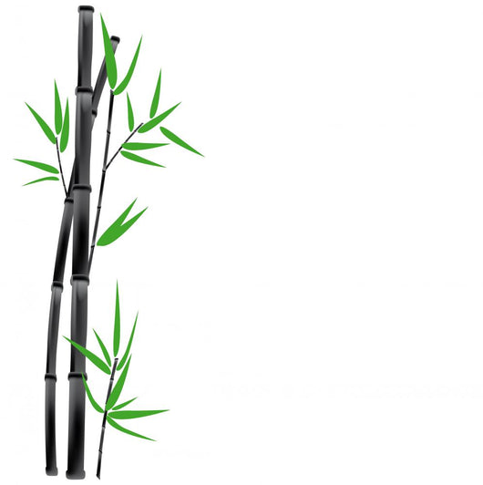 Black Bamboo and Green Wall Decal