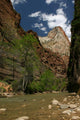 Zion Wall Decal