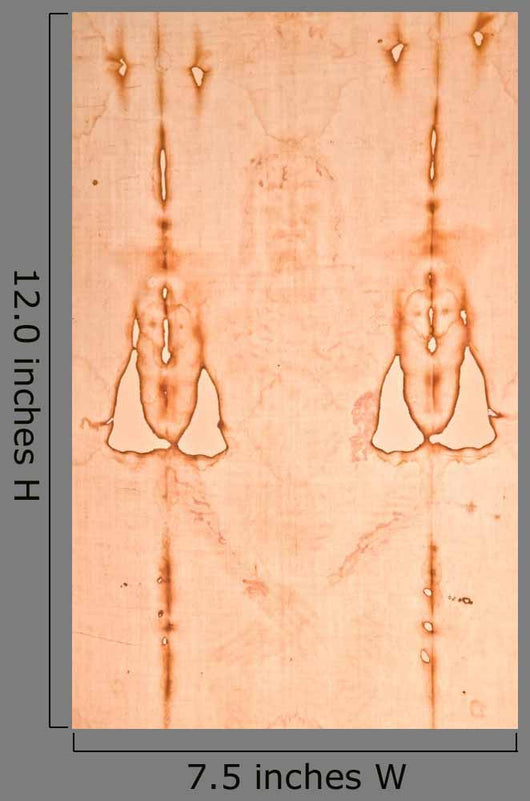 Turin Italy Sacred Shroud Wall Decal