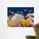 Underwater Life Hard-coral Reef Wall Decal