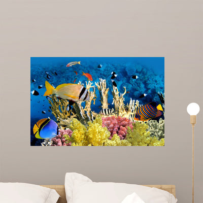 Butterfly Fish Coral Reef Wall Decal shown on a wall