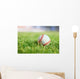 Used Baseball Green Grass Wall Decal