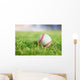 Used Baseball Green Grass Wall Decal