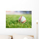 Used Baseball Green Grass Wall Decal