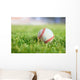 Used Baseball Green Grass Wall Decal