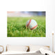 Used Baseball Green Grass Wall Decal