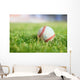 Used Baseball Green Grass Wall Decal