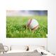 Used Baseball Green Grass Wall Decal