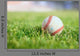 Used Baseball Green Grass Wall Decal