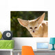 Fennec Fox Wall Decal