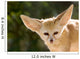 Fennec Fox Wall Decal