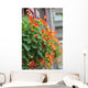 Coachbuilt Wall Decal