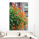 Coachbuilt Wall Decal