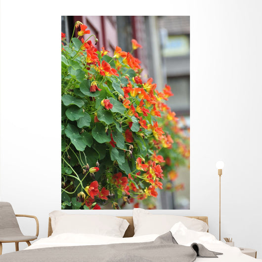 Coachbuilt Wall Decal