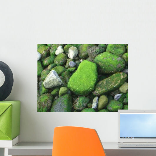 Moss Rocks Wall Decal