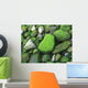Moss Rocks Wall Decal