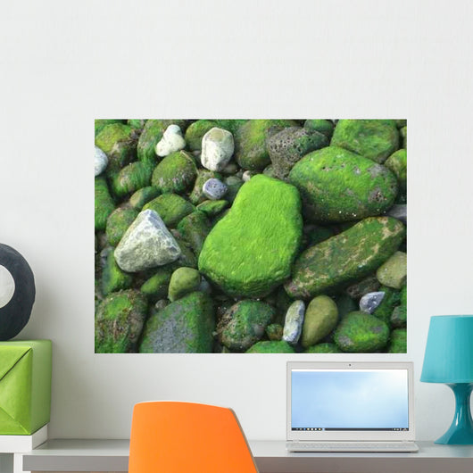 Moss Rocks Wall Decal