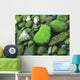 Moss Rocks Wall Decal
