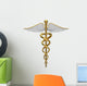 Golden Caduceus Medical Symbol Wall Decal